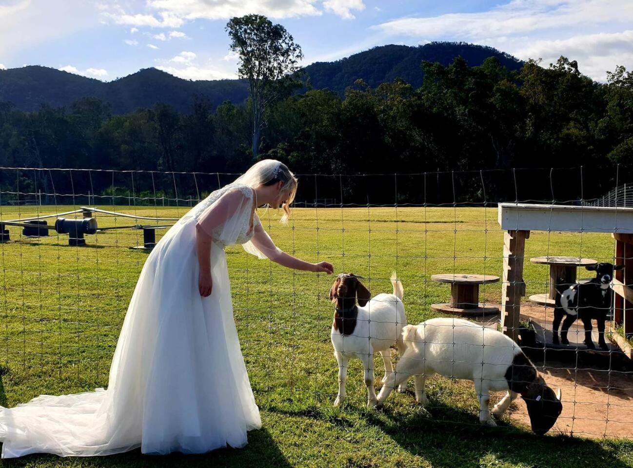 Fig Tree Farm B&B Highvale-Farmstay Near Brisbane! Exteriér fotografie