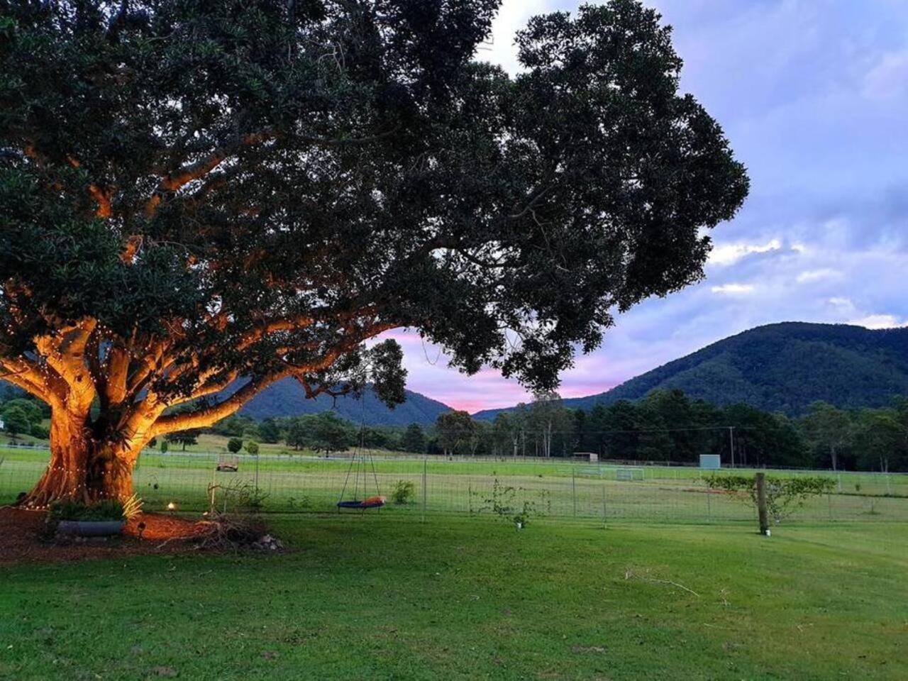 Fig Tree Farm B&B Highvale-Farmstay Near Brisbane! Exteriér fotografie