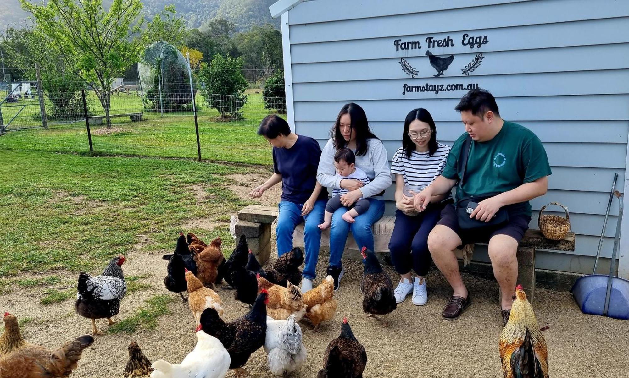 Fig Tree Farm B&B Highvale-Farmstay Near Brisbane! Exteriér fotografie